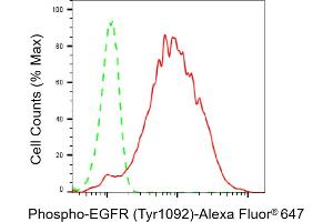 Flow cytometric analysis of Phospho-EGFR (Tyr) expression in HepG2 cells using Phospho-EGFR (Tyr) antibody (ABIN7798465), 1:2,000). (Recombinant EGFR antibody  (pTyr1068))