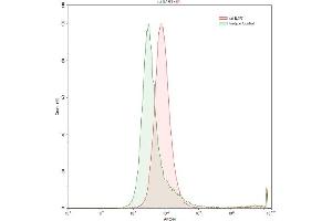 Detection of IL1R1 in Raji human Burkitt's lymphoma cell line using Anti-Interleukin 1 Receptor Type I (IL1R1) Polyclonal Antibody (IL1R1 antibody  (AA 386-553))