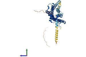 Protein Structure (PS) image for Neuropeptide FF Receptor 2 (NPFF2) (AA 1-417) protein (His tag) (ABIN7560253)
