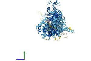 AlphaFold protein structure predicition of Human Recombinant HERC3 Protein, UniprotID Q15034 (HERC3 Protein (AA 1-1050) (His tag))