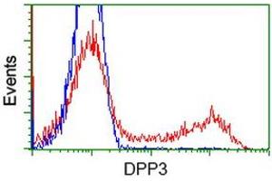 HEK293T cells transfected with either RC219658 overexpress plasmid (Red) or empty vector control plasmid (Blue) were immunostained by anti-DPP3 antibody (ABIN2454854), and then analyzed by flow cytometry. (DPP3 antibody)