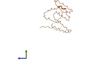 AlphaFold protein structure predicition of Human Recombinant KRTAP2-2 Protein, UniprotID Q9BYT5 (KRTAP2-2 Protein (AA 1-123) (His tag))