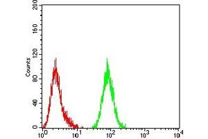 Flow cytometric analysis of Hela cells using ACTH mouse mAb (green) and negative control (red). (ACTH antibody)