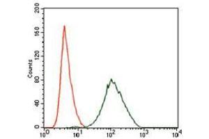 Flow cytometric analysis of NIH3T3 cells using PLK1 mouse mAb (green) and negative control (red). (PLK1 antibody  (AA 331-508))