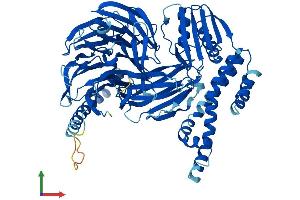 Protein Structure (PS) image for Bardet-Biedl Syndrome 7 (BBS7) (AA 1-715) protein (His tag) (ABIN7564633)
