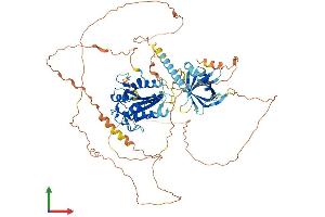 AlphaFold protein structure predicition of Mouse Recombinant Med25 Protein, UniprotID Q8VCB2 (MED25 Protein (AA 1-745) (His tag))