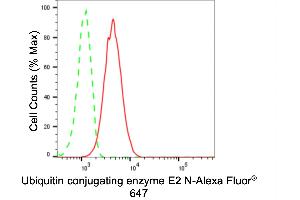 Flow cytometric analysis of Ubiquitin conjugating enzyme E2 N expression in HT- cells using Ubiquitin conjugating enzyme E2 N antibody (ABIN7800751), 1:2,000). (Recombinant UBE2N antibody)