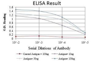 ELISA image for anti-FYN Oncogene Related To SRC, FGR, YES (FYN) antibody (ABIN969159)