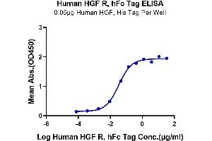 ELISA image for Met Proto-Oncogene (MET) (AA 25-932) protein (Fc Tag) (ABIN7275247)