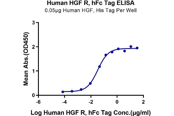 c-MET Protein (AA 25-932) (Fc Tag)