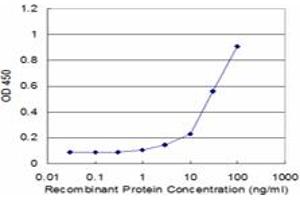 Detection limit for recombinant GST tagged PPP1R8 is approximately 3ng/ml as a capture antibody. (PPP1R8 antibody  (AA 28-127))