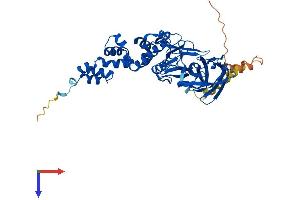 F-Box Protein 3 Protein (FBXO3) (AA 1-471) (His tag)