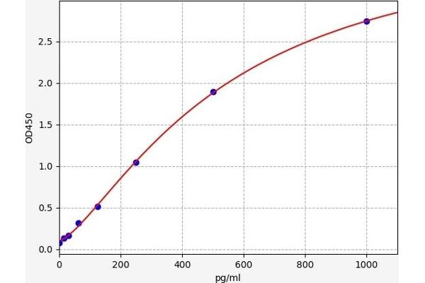 Huntingtin ELISA Kit