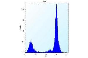 Flow cytometric analysis of 293 cells using MOBKL1B Antibody (N-term) Cat. (MOB1A antibody  (N-Term))