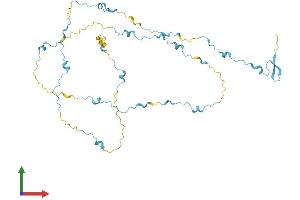AlphaFold protein structure predicition of Mouse Recombinant Saxo2 Protein, UniprotID Q8BQB6 (FAM154B Protein (AA 1-394) (His tag))