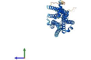 AlphaFold protein structure predicition of Mouse Recombinant Adora2b Protein, UniprotID Q60614 (Adenosine A2b Receptor Protein (ADORA2B) (AA 1-332) (His tag))