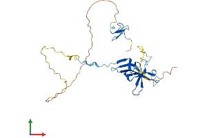 AlphaFold protein structure predicition of Human Recombinant GATAD1 Protein, UniprotID Q8WUU5 (GATAD1 Protein (AA 1-269) (His tag))