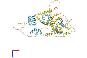 AlphaFold protein structure predicition of Human Recombinant UBQLN4 Protein, UniprotID Q9NRR5 (UBQLN4 Protein (AA 1-601) (His tag))