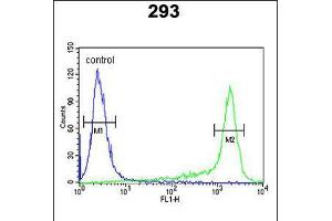 Flow cytometric analysis of 293 cells (right histogram) compared to a negative control cell (left histogram). (Peroxiredoxin 6 antibody  (AA 103-132))