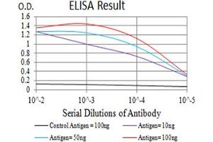 Black line: Control Antigen (100 ng),Purple line: Antigen (10 ng), Blue line: Antigen (50 ng), Red line:Antigen (100 ng) (Serotonin Receptor 3B antibody  (AA 23-150))
