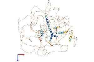 AlphaFold protein structure predicition of Human Recombinant ZNF804B Protein, UniprotID A4D1E1 (ZNF804B Protein (AA 1-1349) (His tag))