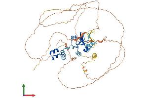 AlphaFold protein structure predicition of Human Recombinant SOCS6 Protein, UniprotID O14544 (SOCS6 Protein (AA 1-535) (His tag))