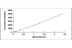 Typical standard curve (CEACAM1 ELISA Kit)