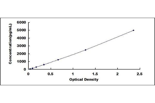 CEACAM1 ELISA Kit