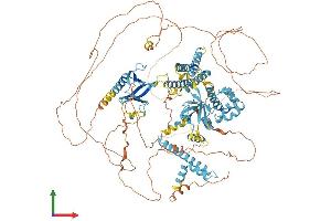 AlphaFold protein structure predicition of Mouse Recombinant Cnksr2 Protein, UniprotID Q80YA9 (CNKSR2 Protein (AA 1-1032) (His tag))