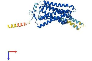 AlphaFold protein structure predicition of Mouse Recombinant Taar7a Protein, UniprotID Q5QD12 (TAAR7A Protein (AA 1-358) (His tag))