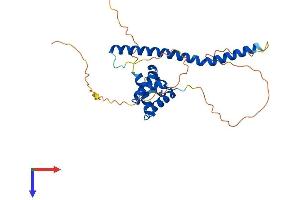 BEN Domain Containing 6 (BEND6) (AA 1-281) protein (His tag)