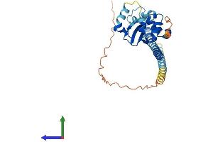 Protein Structure (PS) image for Testis Specific Protein, Y-Linked 8 (TSPY8) (AA 1-308) protein (His tag) (ABIN7544783)
