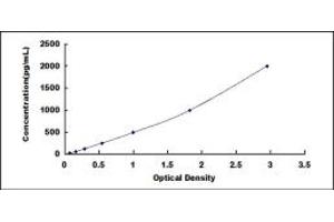 Typical standard curve (CEA ELISA Kit)