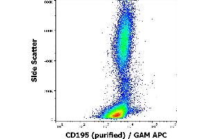 Flow cytometry surface staining pattern of human peripheral blood stained using anti-human CD195 (T21/8) purified antibody (concentration in sample 3 μg/mL) GAM APC.