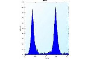 Flow Cytometry (FACS) image for anti-MCF.2 Cell Line Derived Transforming Sequence (MCF2) (AA 803-833), (C-Term) antibody (ABIN953349)