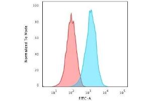 Flow Cytometric Analysis of Raji cells.