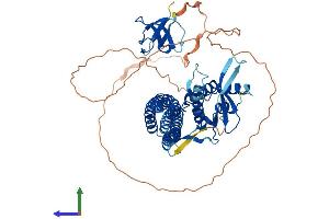 AlphaFold protein structure predicition of Mouse Recombinant Snx18 Protein, UniprotID Q91ZR2