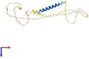 Dynactin Associated Protein (DYNAP) (AA 1-210) protein (His tag)