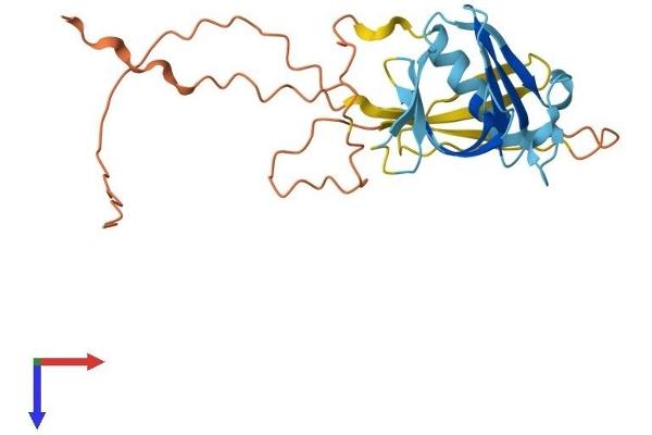 PLEKHB1 Protein (AA 1-243) (His tag)