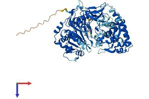 ACSBG2 Protein (AA 1-667) (His tag)