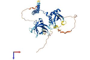 AlphaFold protein structure predicition of Human Recombinant SHARPIN Protein, UniprotID Q9H0F6 (SHARPIN Protein (AA 1-387) (His tag))