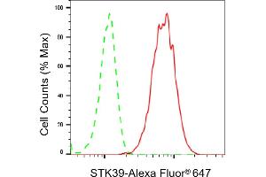 Flow cytometric analysis of STK39 expression in HepG2 cells using STK39 antibody (ABIN7800304), 1:2,000). (Recombinant STK39 antibody)