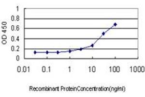 Detection limit for recombinant GST tagged CDC45L is approximately 0. (CDC45 antibody  (AA 477-566))