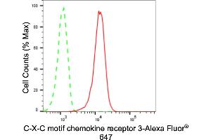 anti-Chemokine (C-X-C Motif) Receptor 3 (CXCR3) antibody