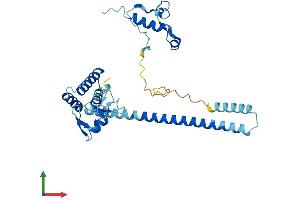 AlphaFold protein structure predicition of Human Recombinant MNAT1 Protein, UniprotID P51948