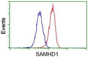 Flow cytometric Analysis of Hela cells, using anti-SAMHD1 antibody (ABIN2453937), (Red), compared to a nonspecific negative control antibody, (Blue). (SAMHD1 antibody)
