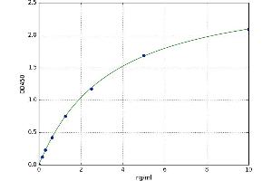 Matrix Metallopeptidase 26 (MMP26) ELISA Kit