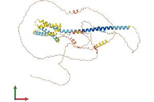AlphaFold protein structure predicition of Mouse Recombinant Tmem266 Protein, UniprotID Q8BZB3 (Tmem266 Protein (AA 1-538) (His tag))