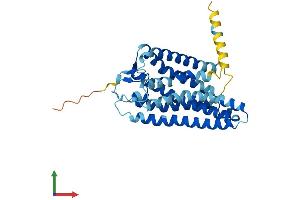 AlphaFold protein structure predicition of Human Recombinant OR52I1 Protein, UniprotID Q8NGK6 (OR52I1 Protein (AA 1-324) (His tag))