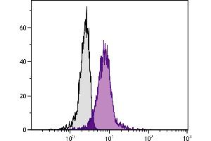 PMA and ionomycin stimulated C57BL/6N mouse T lymphocyte EL-4 cell line was intracellularly stained with Rat Anti-Mouse IL-17A-FITC. (Interleukin 17a antibody)